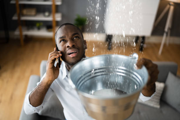 Best Flood restoration services  in San Fernando, CA