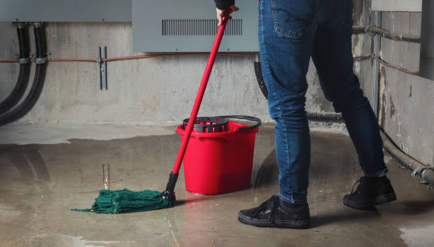 Best Residential water damage restoration  in San Fernando, CA