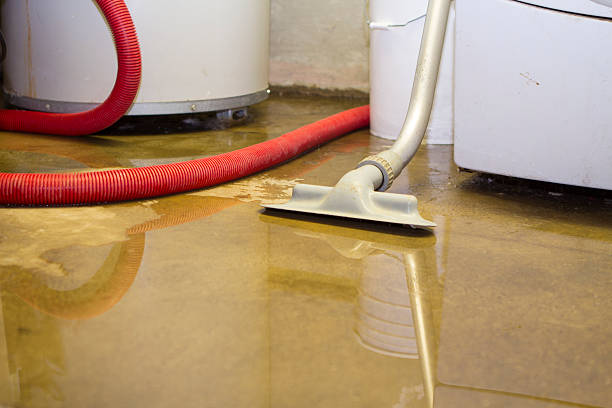 Best Water damage restoration near me  in San Fernando, CA