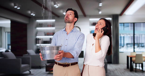 Best Flooded house restoration  in San Fernando, CA
