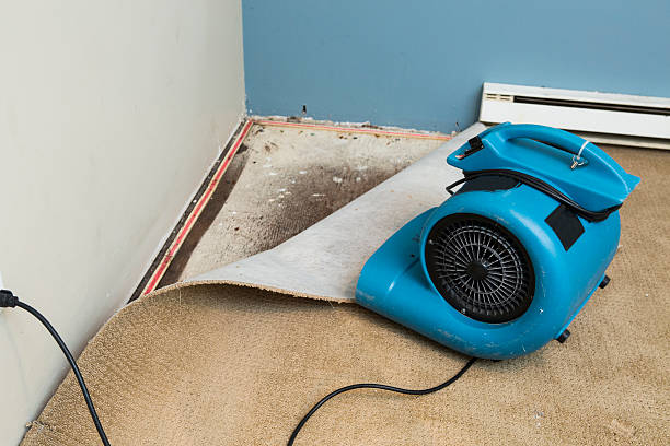 Water damage restoration experts in San Fernando, CA